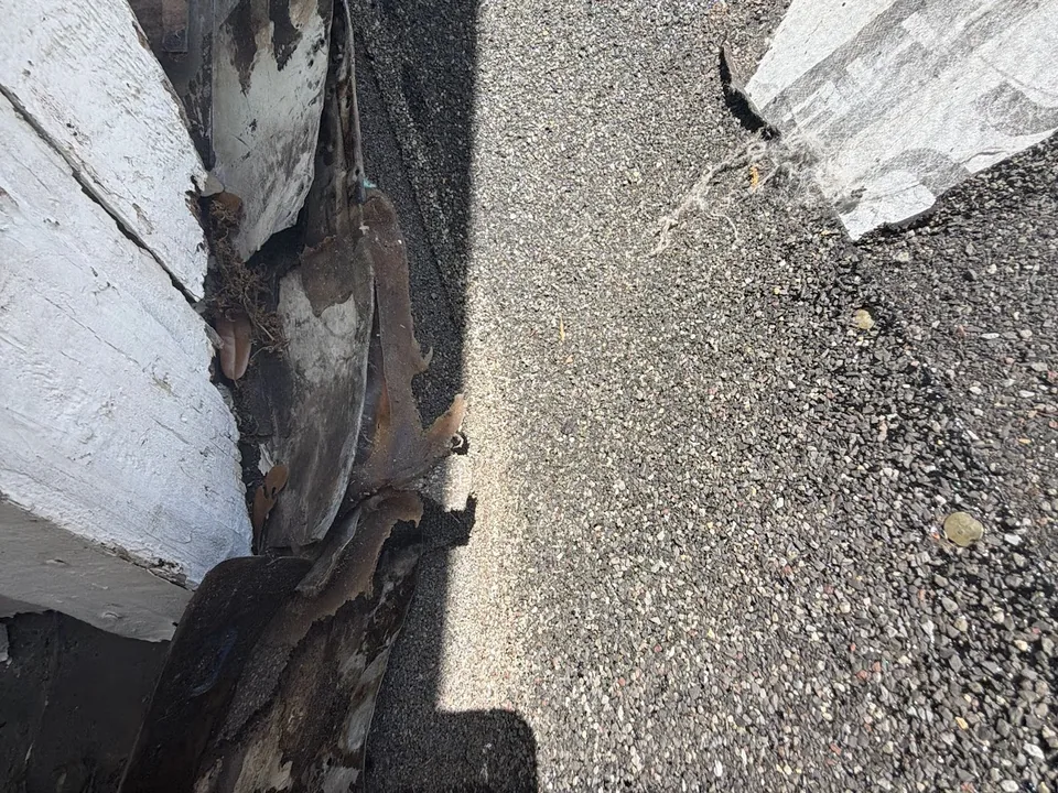 Decayed wood trim and an old nest beside the roof surface